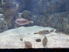 -福州罗源湾海洋世界旅游区