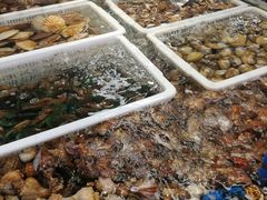 -青石桥市场北1-27号