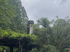 -紫金山山顶公园