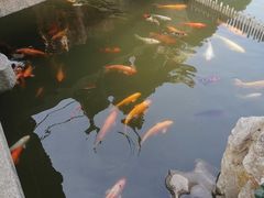 -檀园