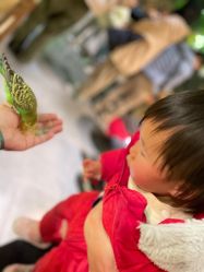 -酷嗒动物文化乐园(cutezoo西溪乐天城店)