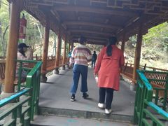 -藏龙百瀑风景区