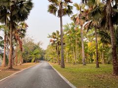 -中国科学院西双版纳热带植物园