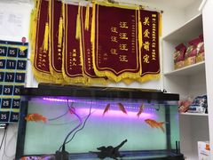 -特一安24小时宠物医院·骨科·中兽医