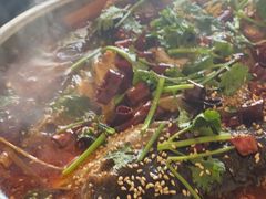 -食鸡公社辣子鸡·潍坊菜·烧烤