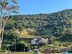 -东海半边山旅游度假区