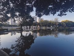 -荔湾湖公园