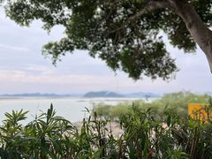 -海沧湾公园