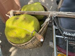-曼丢傣家古寨