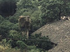 -桤木河湿地公园