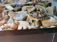 -灵龟之家百象馆(百象馆联合旗舰店)