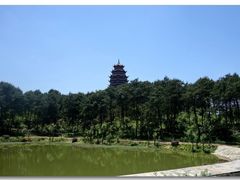 -铁山坪森林公园