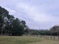 -宁波野生动物园