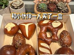 -WHEN PIGS FLY当猪飞