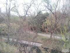 -紫竹院公园冰场