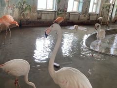-哈尔滨北方森林动物园