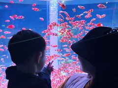 -海合安成都极地海洋公园