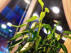 景观位-赵小姐丨新中餐(曲江店)
