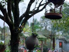 -青城甲(青城山店)