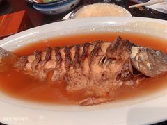 -阿庄新豫菜(通泰路店)