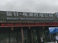 -观潮胜地公园