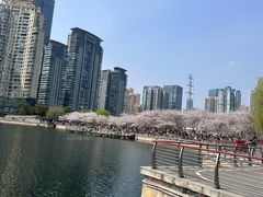 -西北湖绿化广场