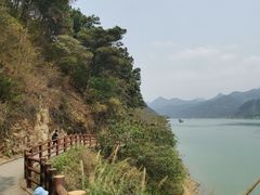 -羚羊峡古栈道森林公园