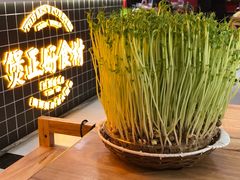 -好彩猪肚鸡(正弘城店)