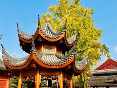 -上海东林寺(金山区)