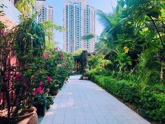 -三亚湾红树林度假世界(木棉酒店)