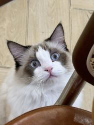 -隅日式美甲美睫專門店