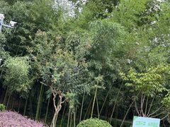 -菊花台公园