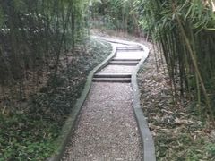 -菊花台公园