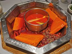 红锅底-蜀九香火锅(九眼桥店)