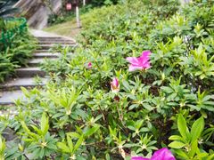 -乌山风景区
