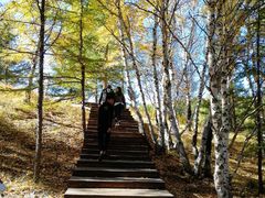 -塞罕坝国家级自然保护区