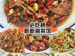 -新新湘菜馆(新中街二条店)