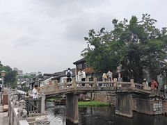 -猫的魔法密林(衣裳街店)