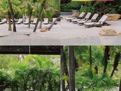 -Waterfall瀑布湾优健源(华侨城店)
