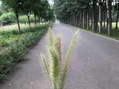 -东郊湿地公园
