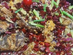 -老板恋上鱼(恒隆广场店)