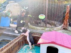 -上海崇明金茂凯悦酒店