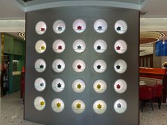 -马白开来特色羊排揪片子  (总店)