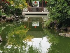 -秋霞圃