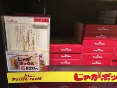 -中部国际机场