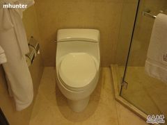 Ritz的科勒马桶-上海波特曼丽思卡尔顿酒店