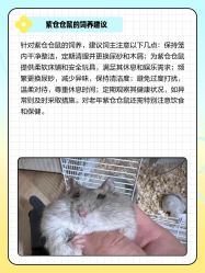 -神奇动物撸宠馆·羊驼·小浣熊·异宠(豫园店)