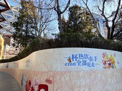 -凤凰汇购物中心