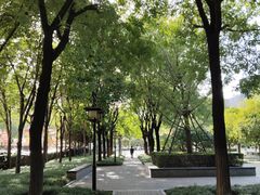 -木塔寺遗址生态公园