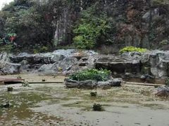 -Club Med地中海俱乐部·桂林度假村